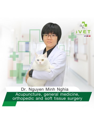 Dr Nguyen Minh Nghia